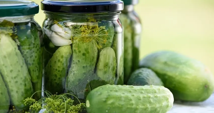 заготовки з огірків