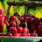 фруктові делікатеси