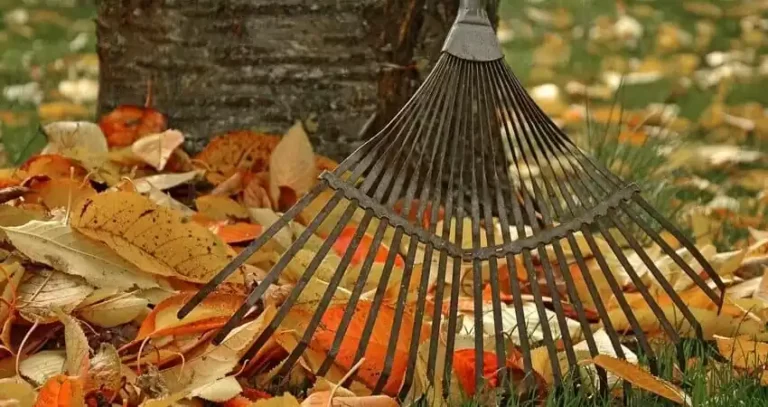 підготовка саду до зими