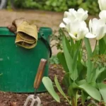 Планування ділянки під сад