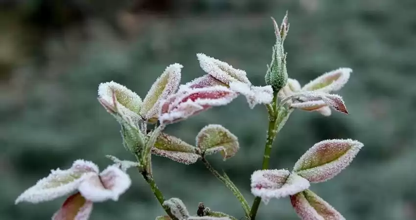 Погодні прикмети