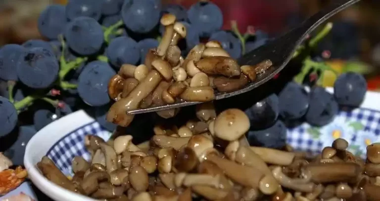 солені гриби