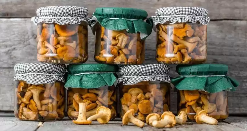 мариновані гриби