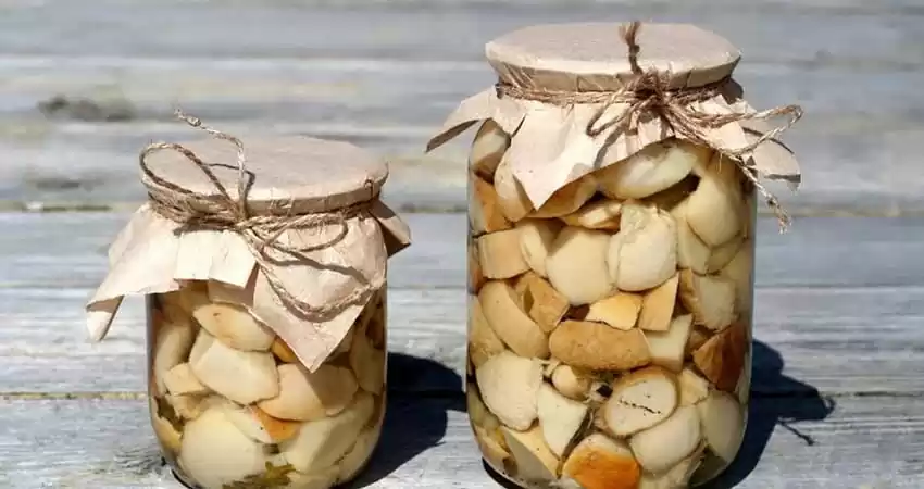 стерилізовані гриби