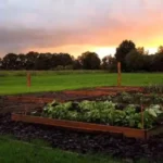 Вибір місця для городу