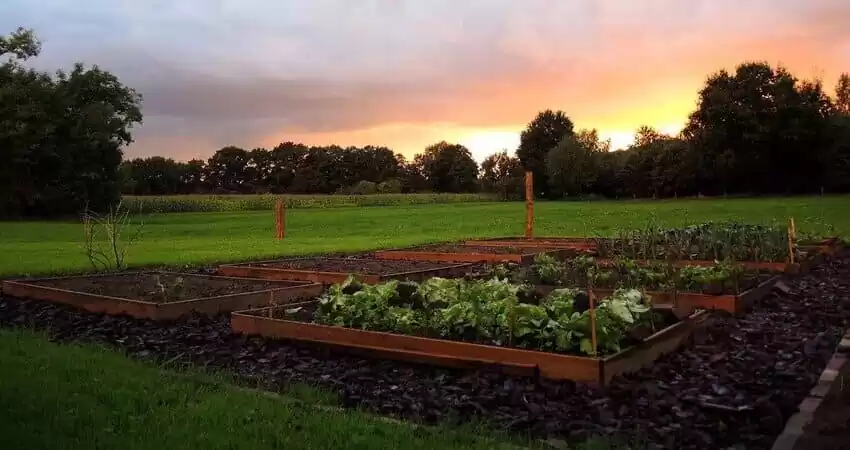 Вибір місця для городу