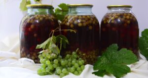 заготовки з шипшини