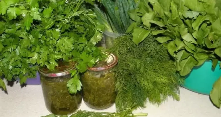 заготовки зелені