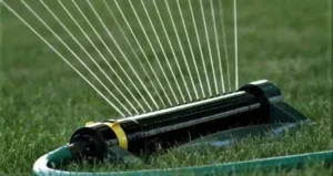 удобрення саду