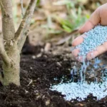 удобрення саду