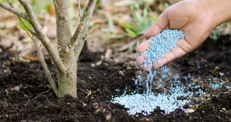 удобрення саду