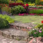 грунтові багаторічники