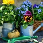 Календар робіт із квітникарства