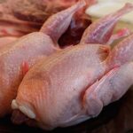 Мясо и продукты из домашней птицы