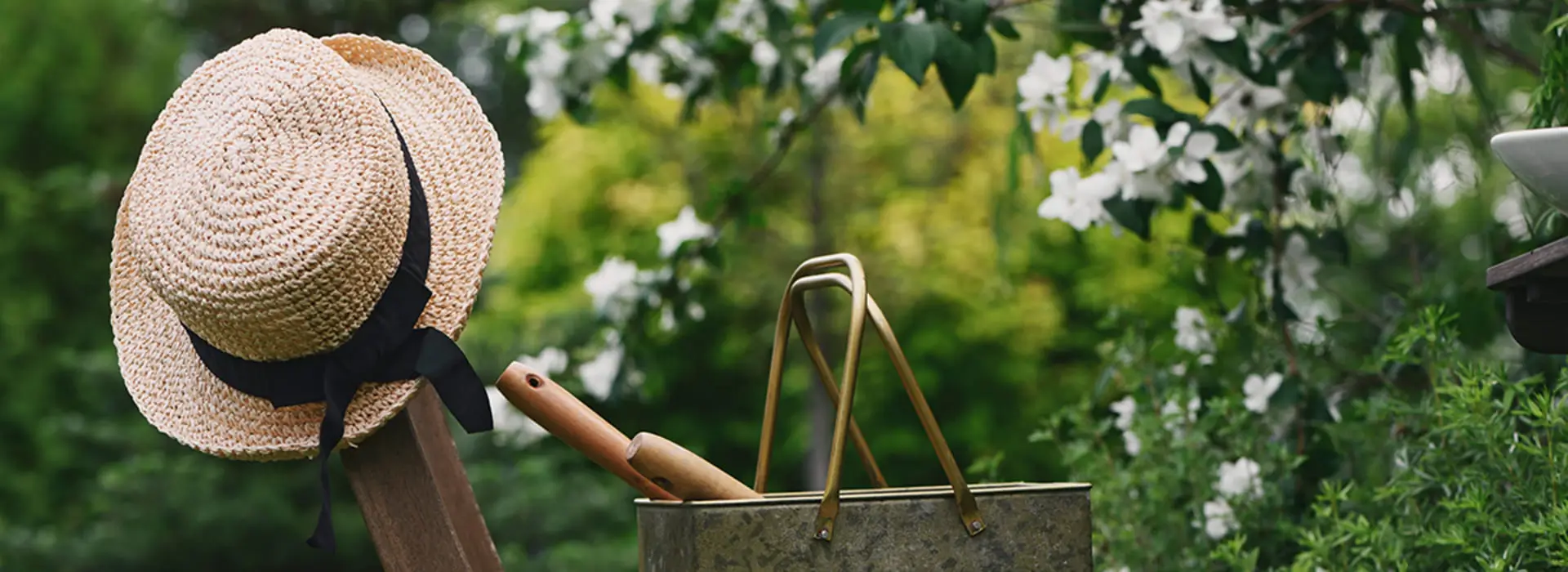 сад,город,дача