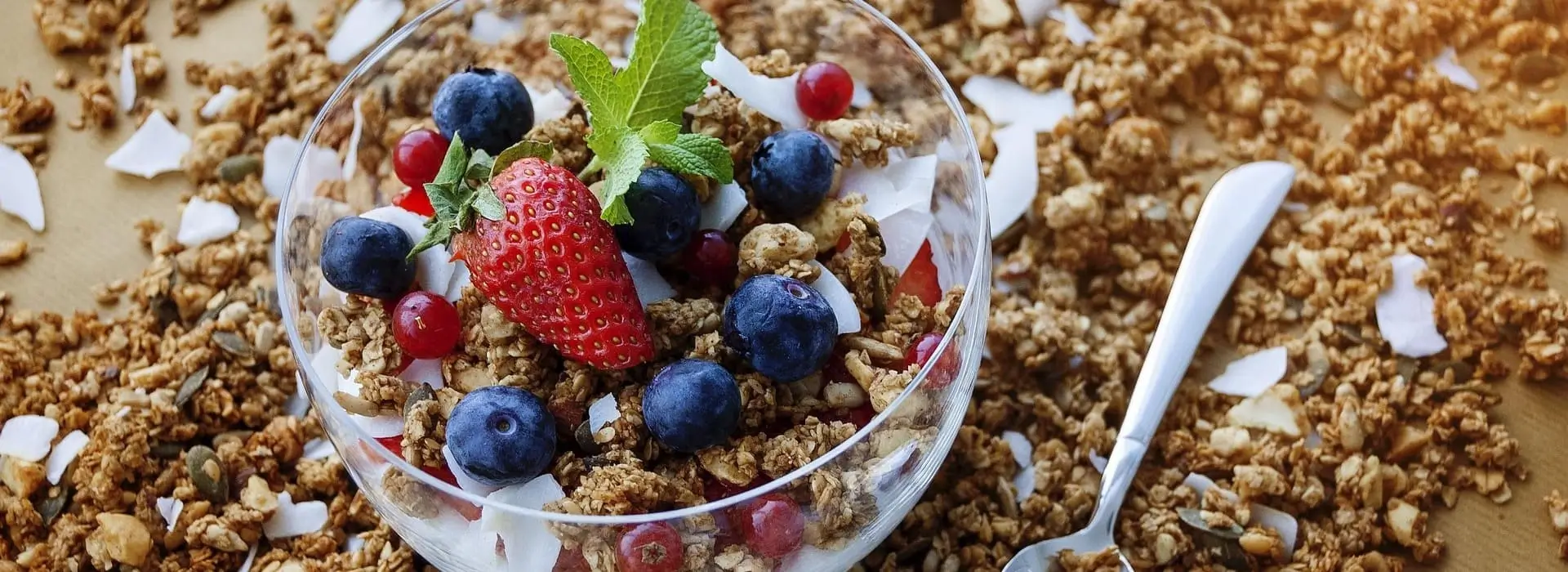 сад,город,дача