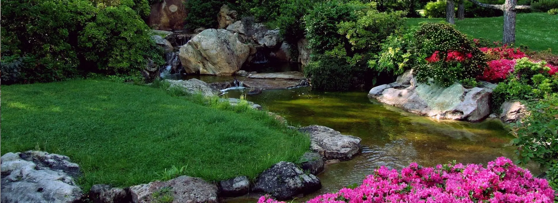 сад,город,дача