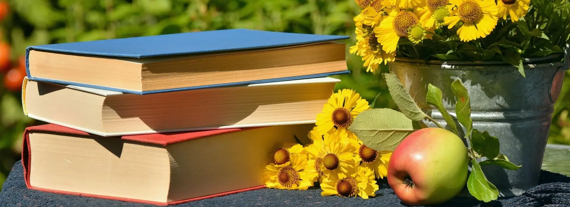 сад,город,дача