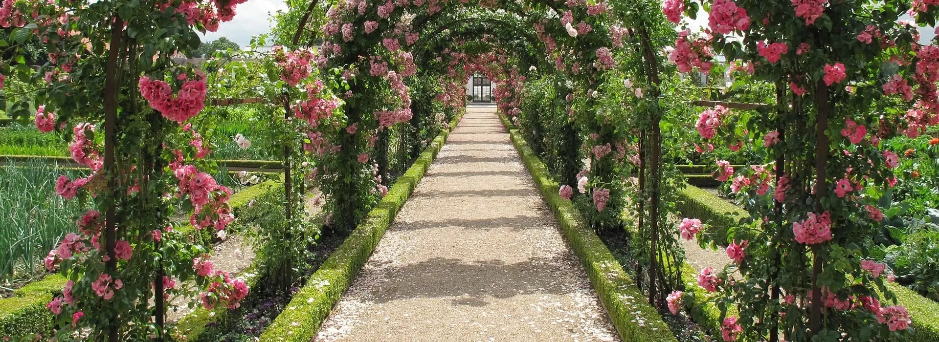 сад,город,дача