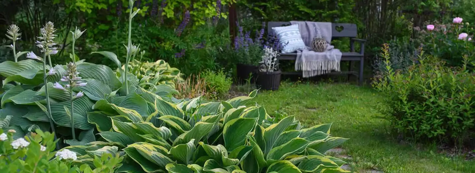 сад,город,дача