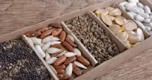 вирощування розсади овочів,Вирощування розсади ранньостиглих помідорів,Вирощування розсади цибулі,Вирощування розсади селери,Вирощування розсади овочів в кімнаті